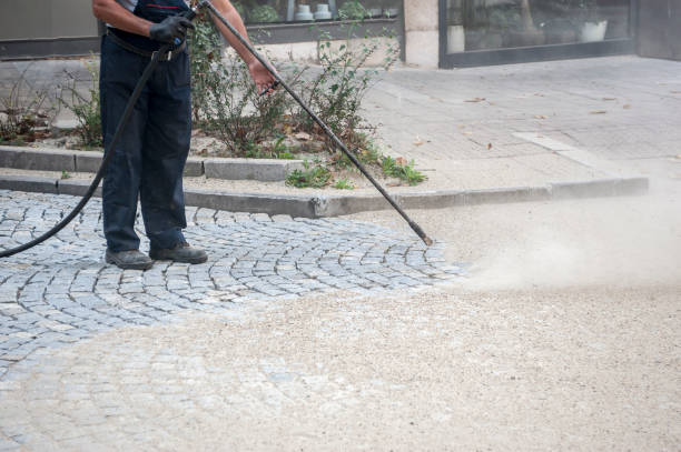 Best Spring Cleaning  in Madison Heights, MI